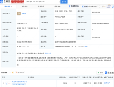 莱克电气武汉布局新动向:全资子公司盛大开业,瞄准家电市场新机遇!