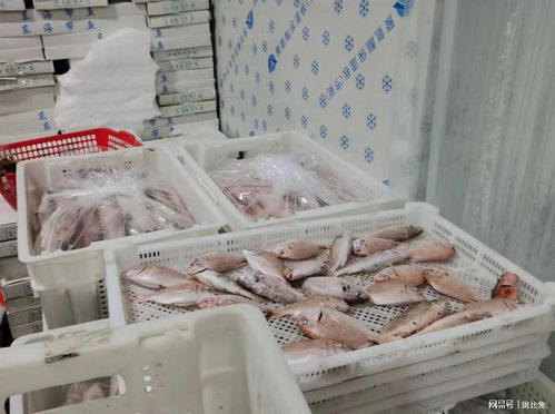 捕捞养殖输送原料资源,电商批发打通销售脉络