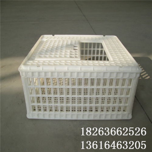 【塑料鸡笼图片和价格运输鸡筐批发】-