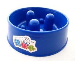 宠物用品清仓日2天