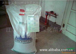 草坪种子马尼拉与厨具卫具及日用杂品批发 跨领域实用指南